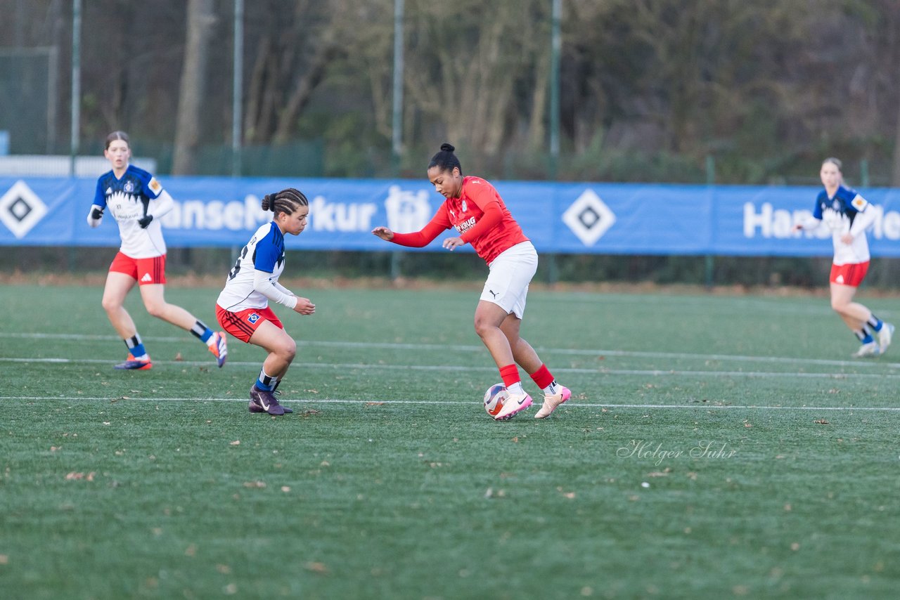 Bild 418 - wBJ Hamburger SV - Holstein Kiel : Ergebnis: 8:0